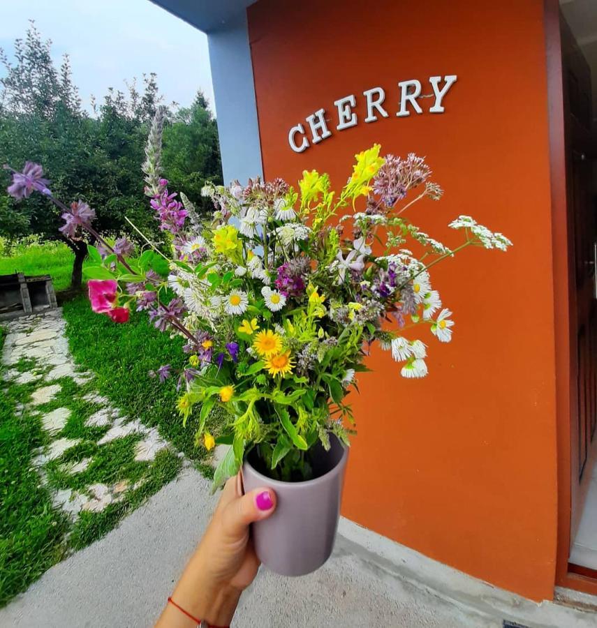 Apartman Cherry Gradac Валево Екстер'єр фото